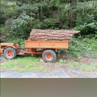 servizio segheria mobile 