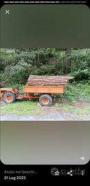 servizio segheria mobile 