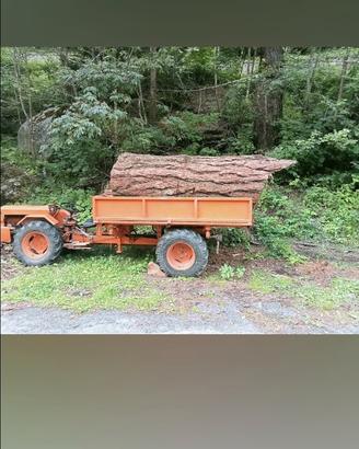 servizio segheria mobile 