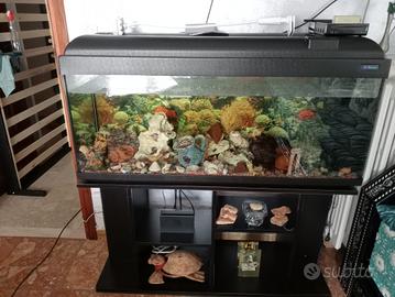 ACQUARIO 