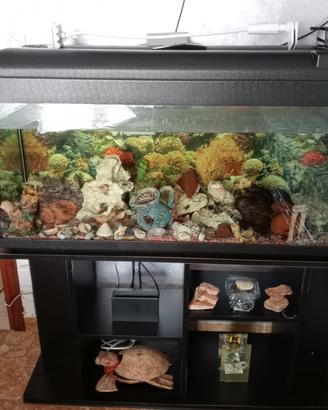 ACQUARIO 