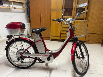 Bici elettrica