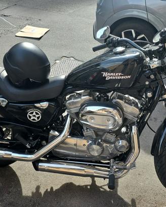 harley davidson 883 