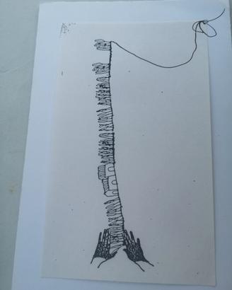 mail art Antonio Zancanaro 