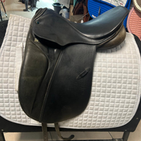 Sella dressage stubben 17,5
