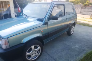 Panda giannini