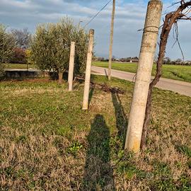 3 Pali grossi di cemento