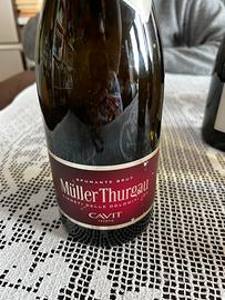 Spumante Muller tourgau brut