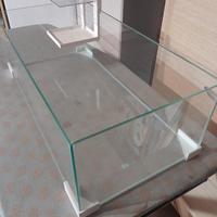 Teca in vetro