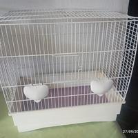 gabbia per uccelli 