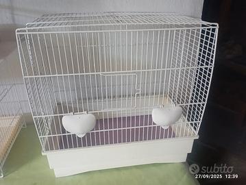 gabbia per uccelli 