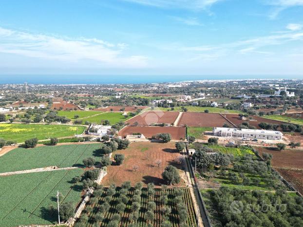 TER. AGRICOLO A POLIGNANO A MARE