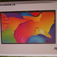 Monitor da gaming portatile