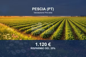 Immobile in asta di 1630 m² a Pescia