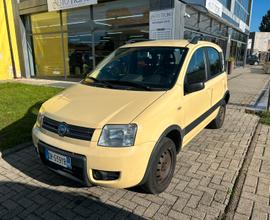 Fiat Panda 4x4 Ok neopatentato