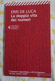 Erri De Luca - La doppia vita dei numeri 