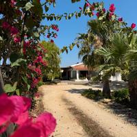 Villa Ammaliante ?