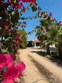 Villa Ammaliante ?