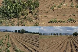 Terreno agricolo