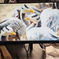 Lenovo Thinkvision T22i-10 21.5" Wide FHD IPS