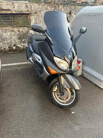 T Max
