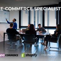 Esperto di e-commerce