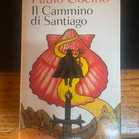 Il cammino di Santiago