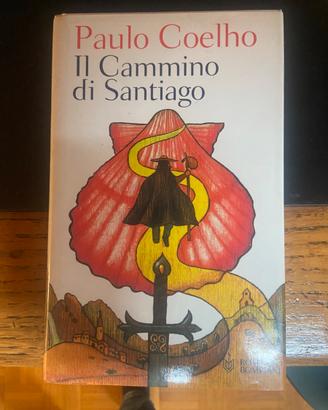 Il cammino di Santiago