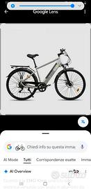 Bicicletta elettrica