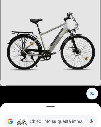 Bicicletta elettrica