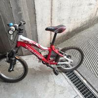 Mountain bike