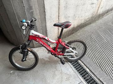 Mountain bike