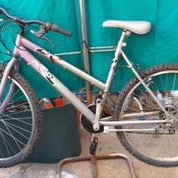 Mountain-bike 