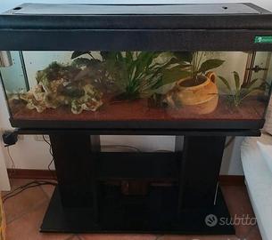 Acquario 120L