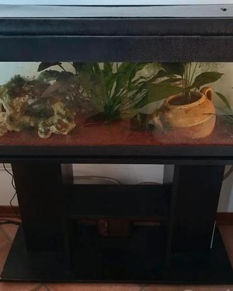 Acquario 120L