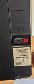 Casse Diffusori Vintage BOSE 301 Series IV