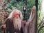 Immagine 6