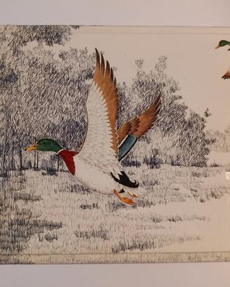 scatola in latta da collezione