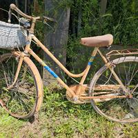 Biciclette coppa Cobram Fantozzi