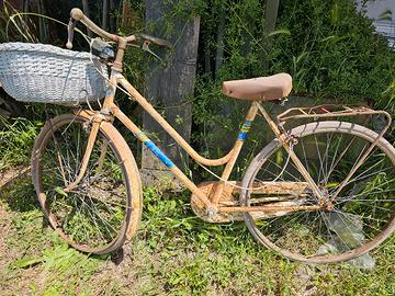 Biciclette coppa Cobram Fantozzi