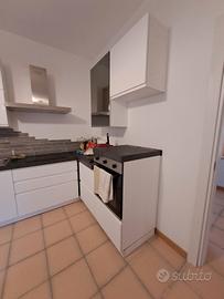 Cucina angolare stile moderno completa di elettrod
