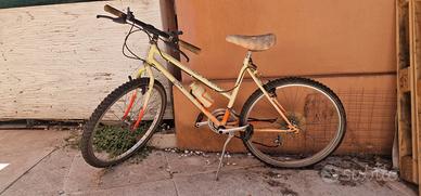 Mountain bike