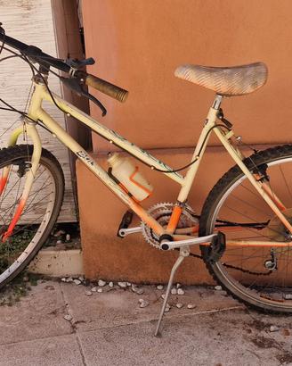 Mountain bike