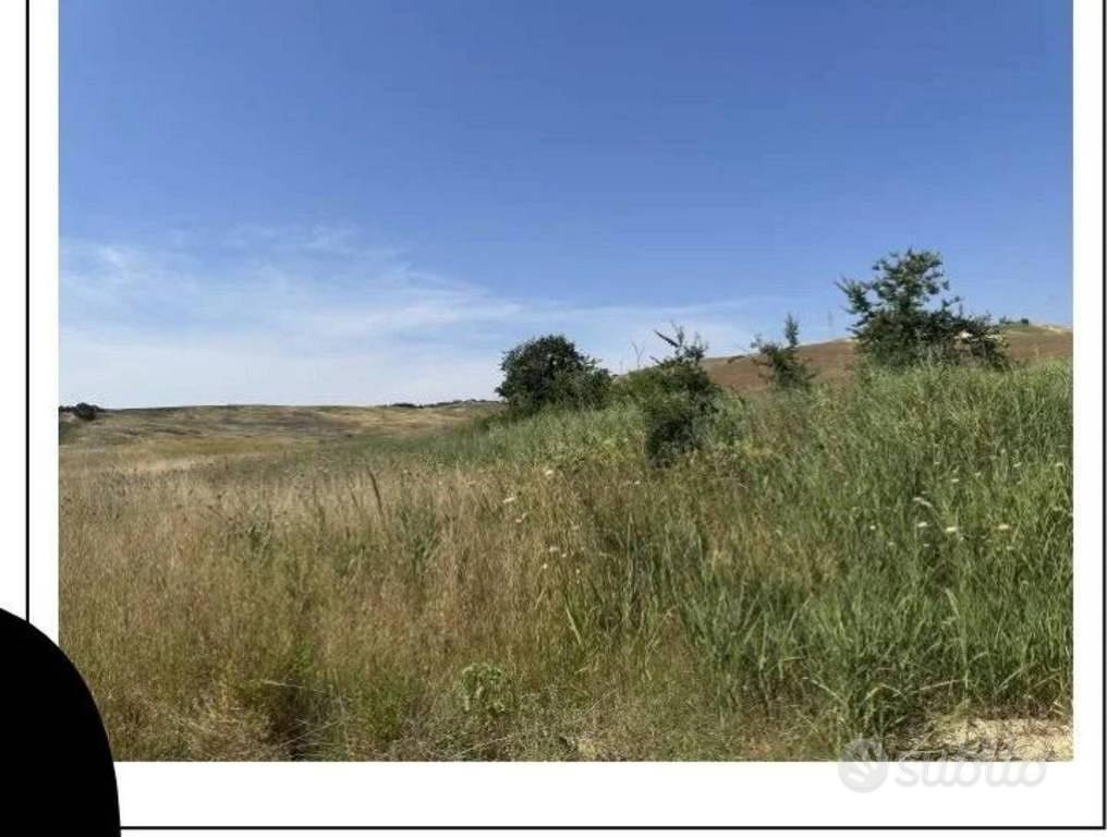 Immobile in asta di 88800 m² a Tarquinia - Vista 4