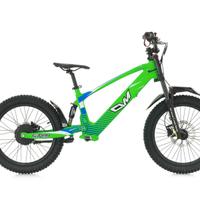 Mini Moto Elettrica Brushless 36V 750W