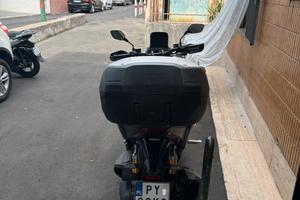 Adv 350 2025