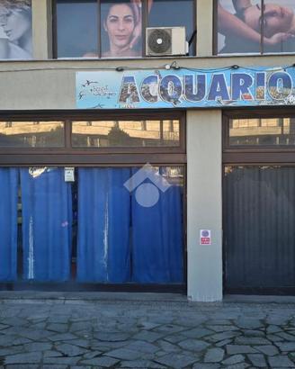 NEGOZIO A LEINÌ