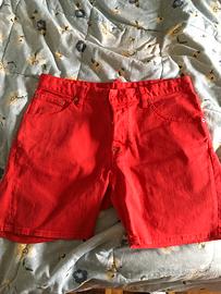 Bermuda dsquared