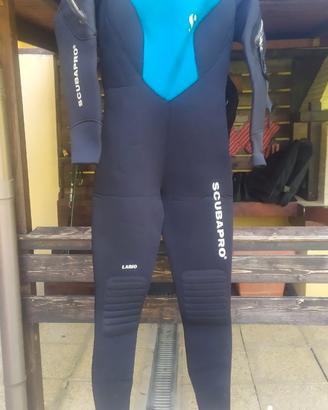 Muta semistagna Donna