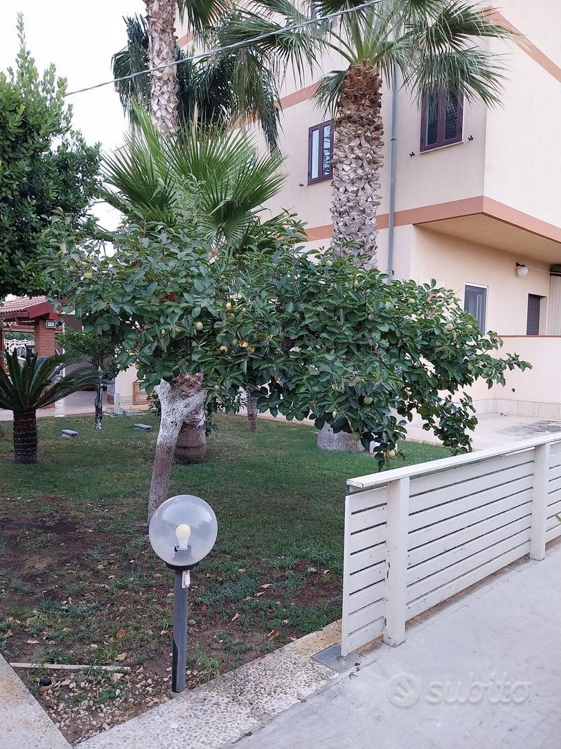 Appartamento – Vittoria, Borgo del Vivaio - Altro